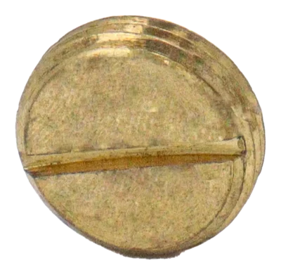 20mm Brass Slotted Plug